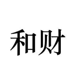 和财盛新(上海)新材料有限公司