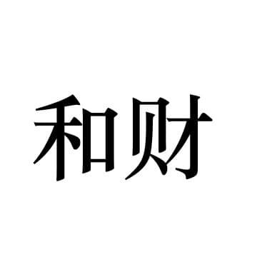 和财盛新(上海)新材料有限公司