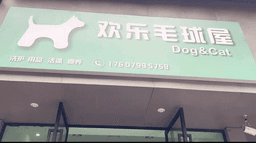 欢乐毛球屋